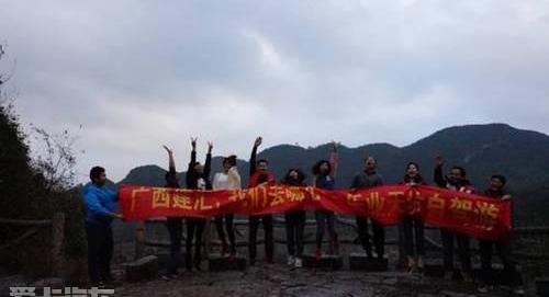 东风,大众,日产,雪铁龙