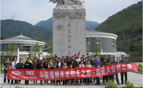 福特,海豚,长安,奔腾,福克斯