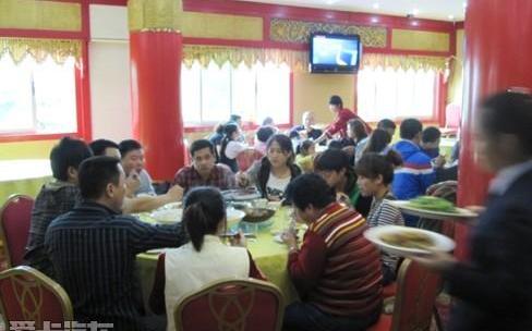 福特,海豚,长安,奔腾,福克斯