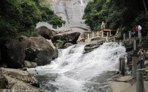 福特,海豚,长安,奔腾,福克斯
