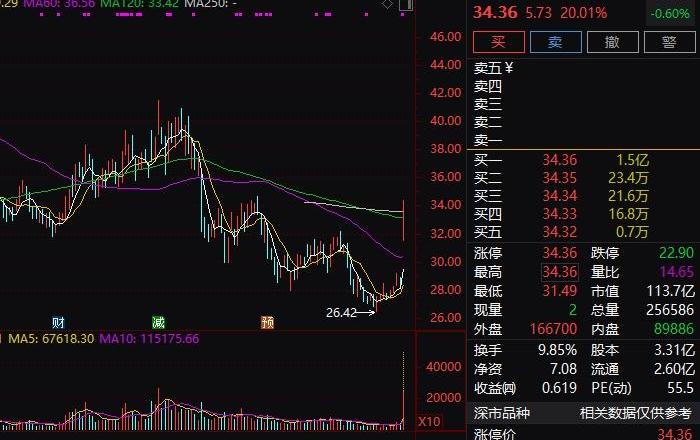 小鹏,蔚来,比亚迪,长城