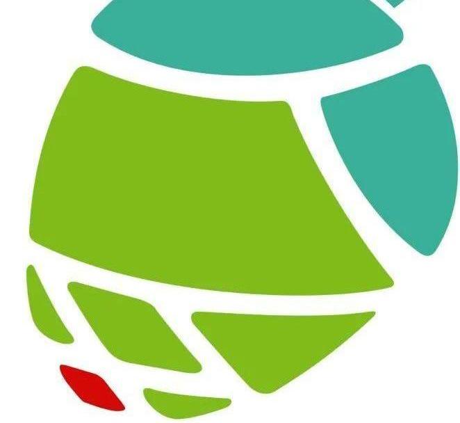恒驰,远程,福田,长城,江淮
