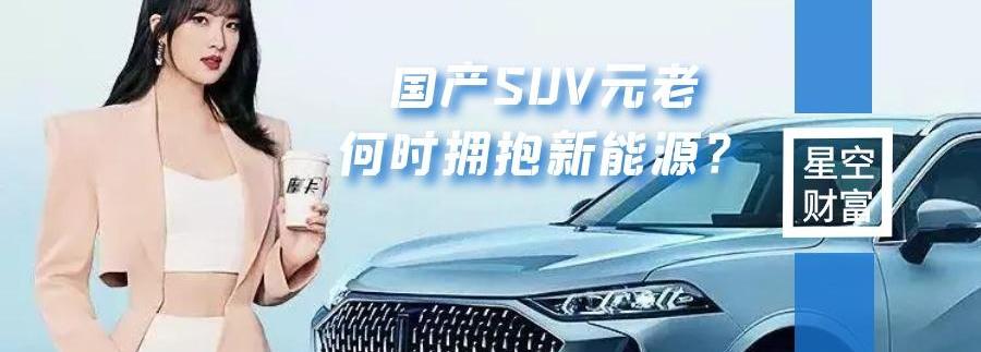 长城,坦克,哈弗,炮,坦克300