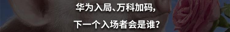 特斯拉,北京,奔驰,DS,合创