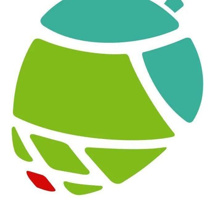 特斯拉,比亚迪,长安,长城,起亚