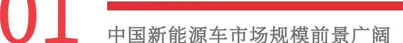 集度,特斯拉,蔚来,中兴,比亚迪