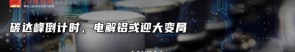 比亚迪,特斯拉