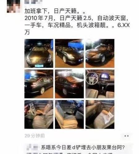 斑马,日产,天籁