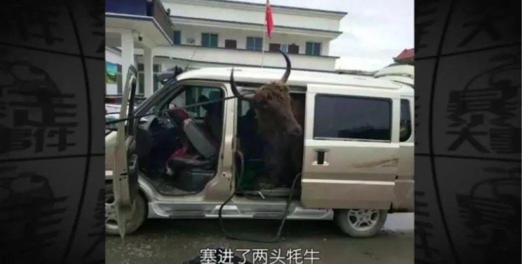 特斯拉,MINI,宏光MINIEV,奔驰,劳斯莱斯
