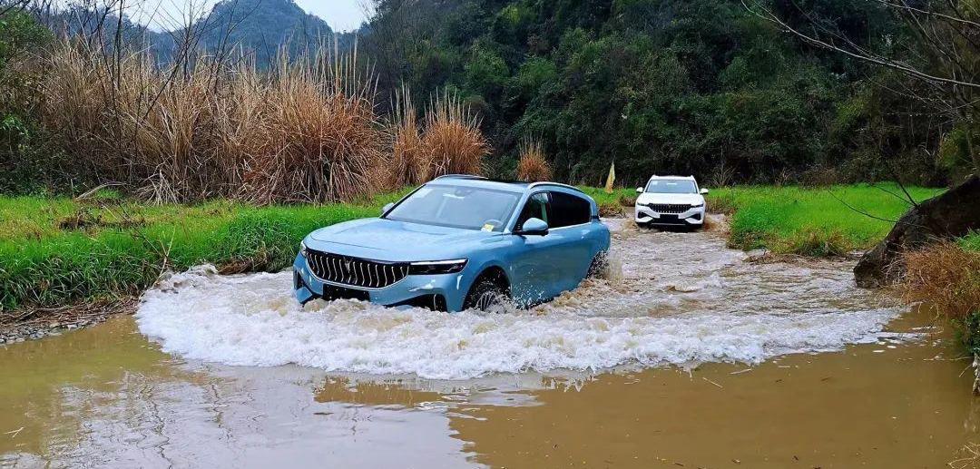 岚图汽车