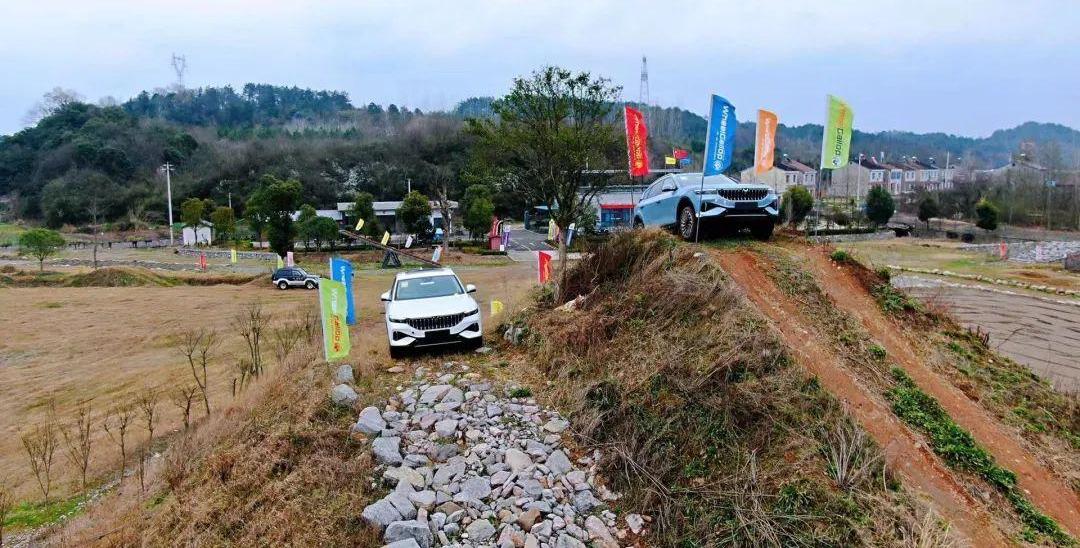 岚图汽车