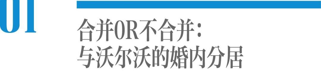 沃尔沃,吉利汽车,长安,福特,长城