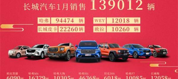 长城,哈弗,欧拉,坦克,坦克300