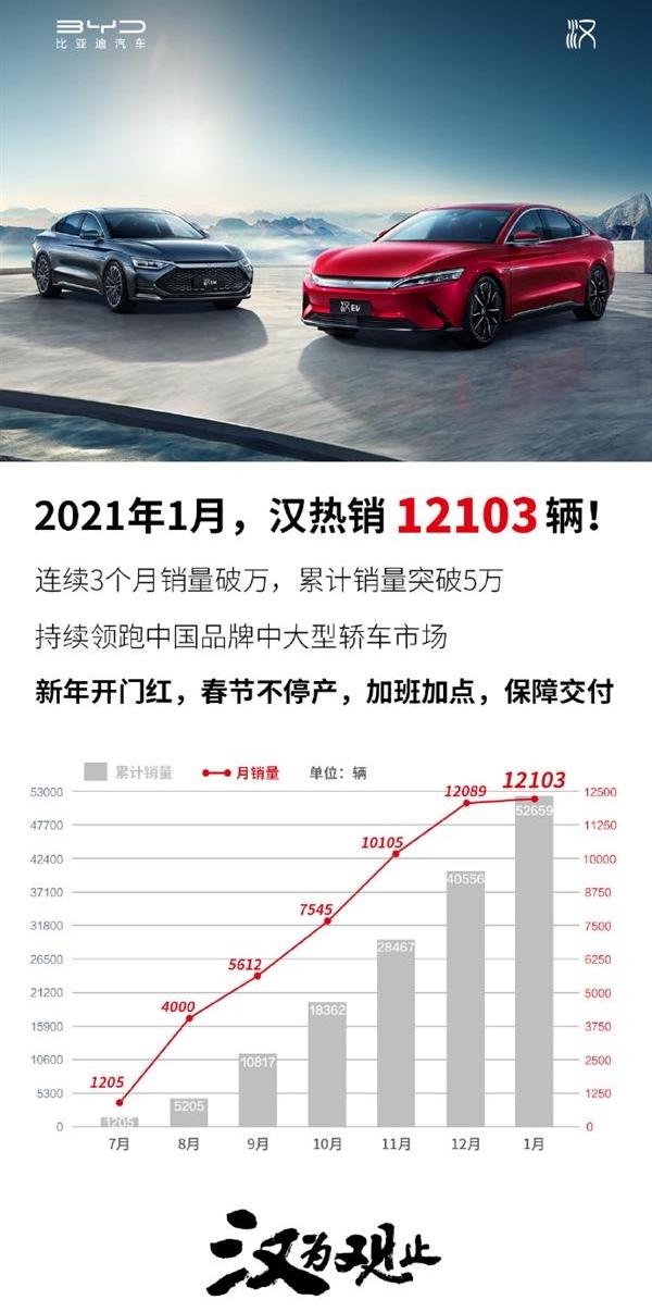 比亚迪,汉,埃安,蔚来,小鹏