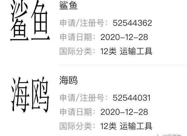 比亚迪,海豚,福特,福特F-150,MINI
