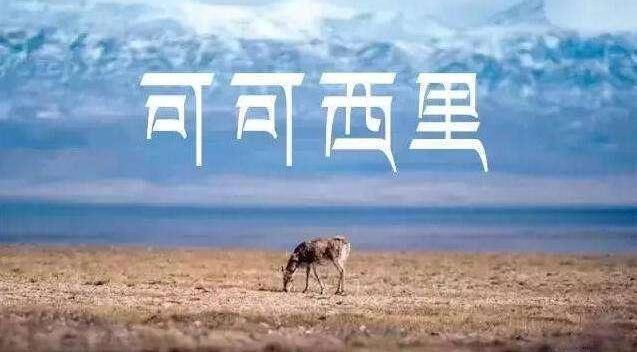 北京,BJ212,北京汽车,世纪,奔腾