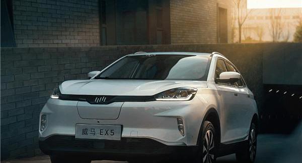威马汽车,蔚来,小鹏,理想汽车