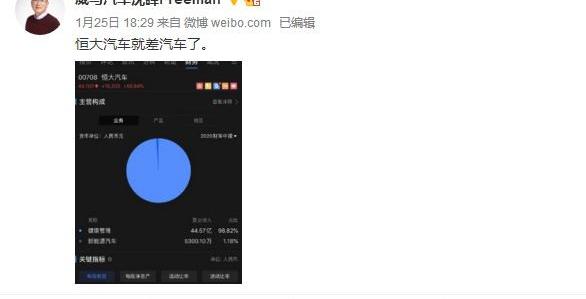 特斯拉,现代,比亚迪,起亚,理念