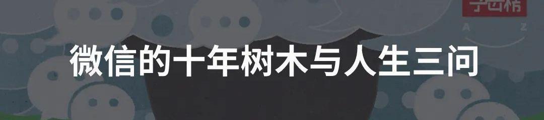 智己汽车,小鹏,特斯拉,斑马,荣威