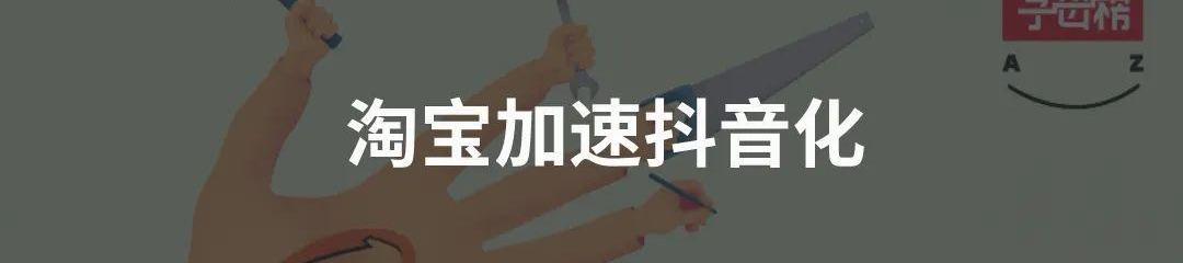 智己汽车,小鹏,特斯拉,斑马,荣威