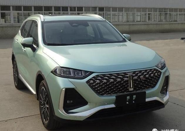 大众,Polo,特斯拉,雷克萨斯,雷克萨斯NX