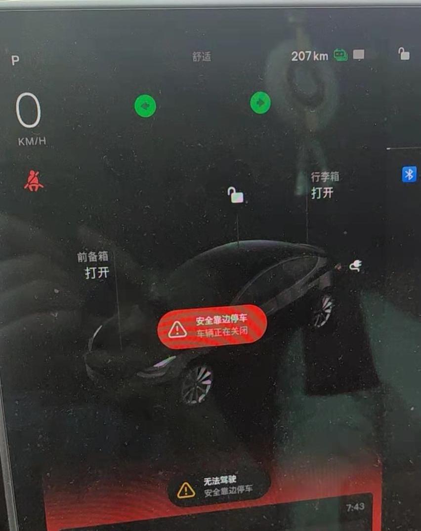 特斯拉,Model 3,北京,远程