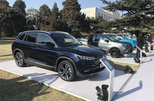 特斯拉,Model 3,Model Y,威马汽车,比亚迪