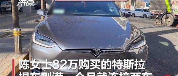 特斯拉,北京,Model X