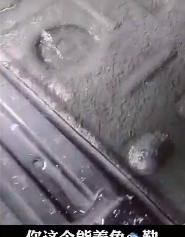 红旗,红旗HS5,红旗H5,发现