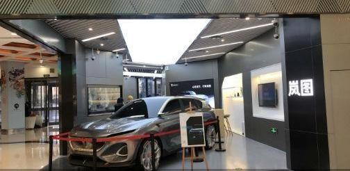 岚图汽车,北京,东风,蔚来,红旗
