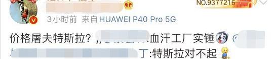 特斯拉,Model Y,蔚来,Model 3,发现