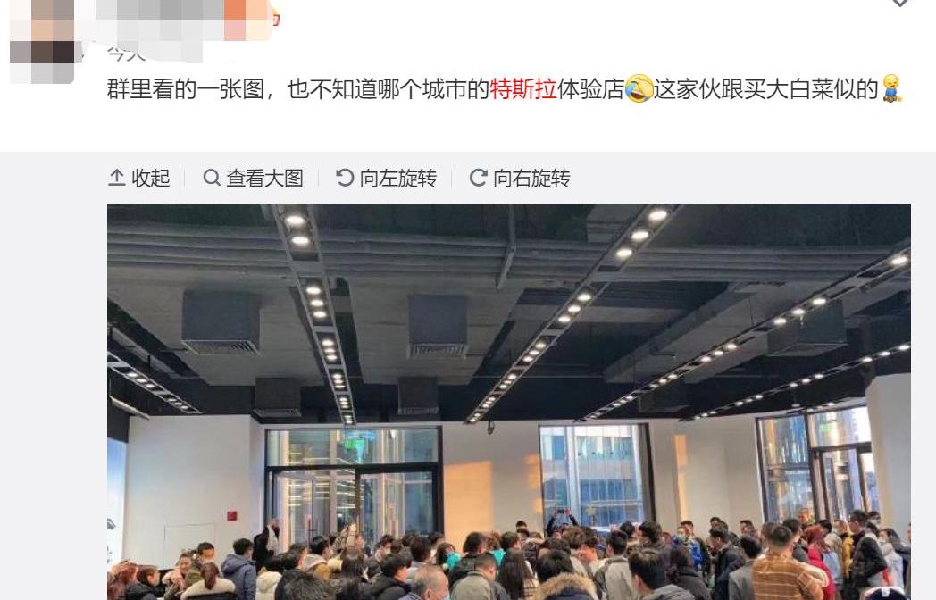 特斯拉,Model Y,蔚来,Model 3,奥迪