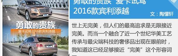 宾利,添越,奥迪,大众,兰博基尼