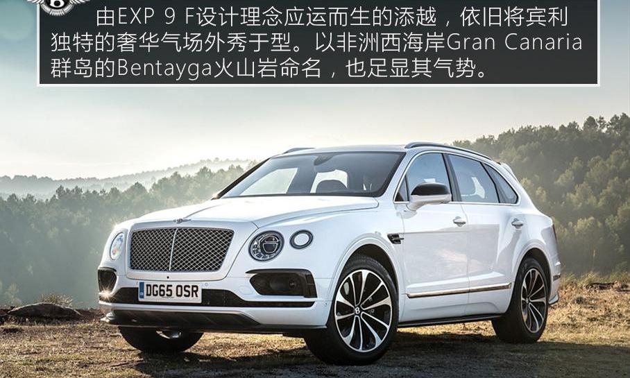 宾利,添越,奥迪,大众,兰博基尼