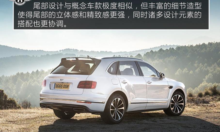 宾利,添越,奥迪,大众,兰博基尼