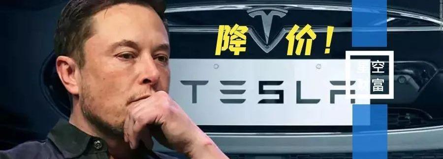 特斯拉,比亚迪,丰田,Model 3,Model Y