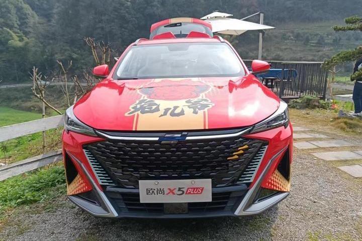 鲸,昂扬,飞驰,卫士,现代