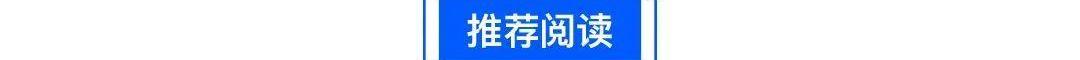 大众,红杉,理想汽车,发现,小鹏