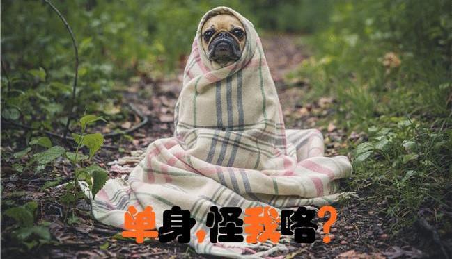 丰田,一汽,北京,飞驰,大众