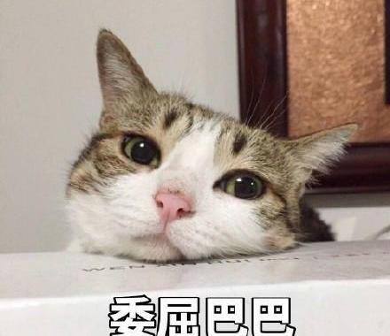 丰田,一汽,北京,飞驰,大众