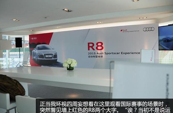 奥迪,天籁,奥迪R8,大发,汉