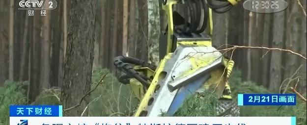 特斯拉