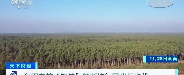 特斯拉