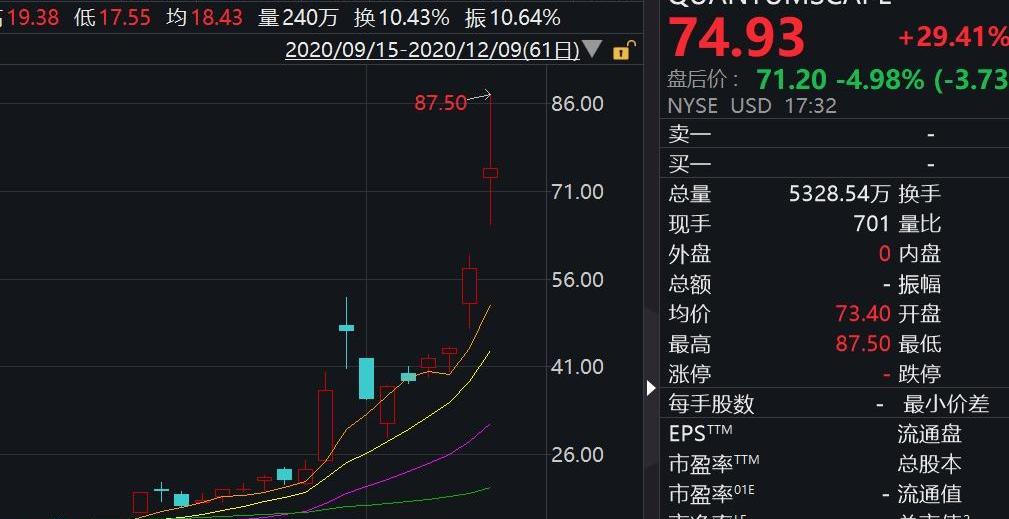 大众,丰田,特斯拉,宝马,比亚迪