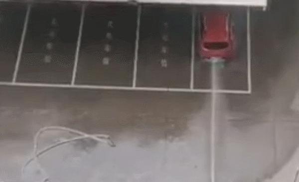 特斯拉,蔚来