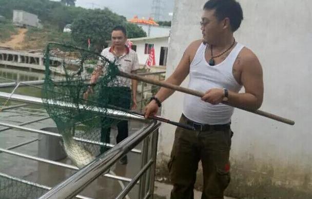 逍客,东风,日产,飞驰,优越