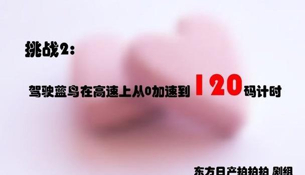 蓝鸟,东风,日产,逍客,发现