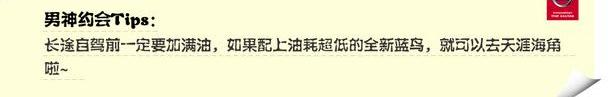 蓝鸟,东风,日产,逍客,发现