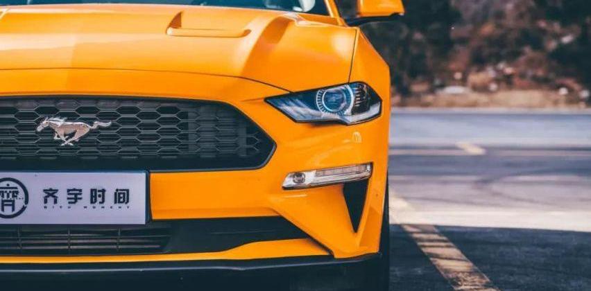 Mustang,发现,曼,飞驰,奔腾