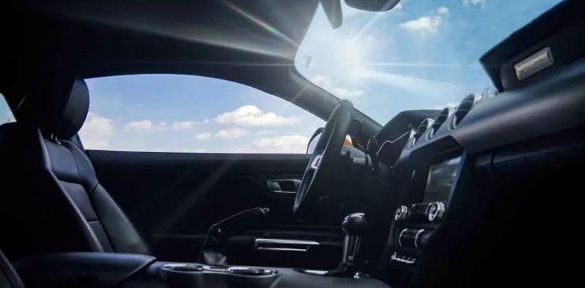 Mustang,发现,曼,飞驰,奔腾